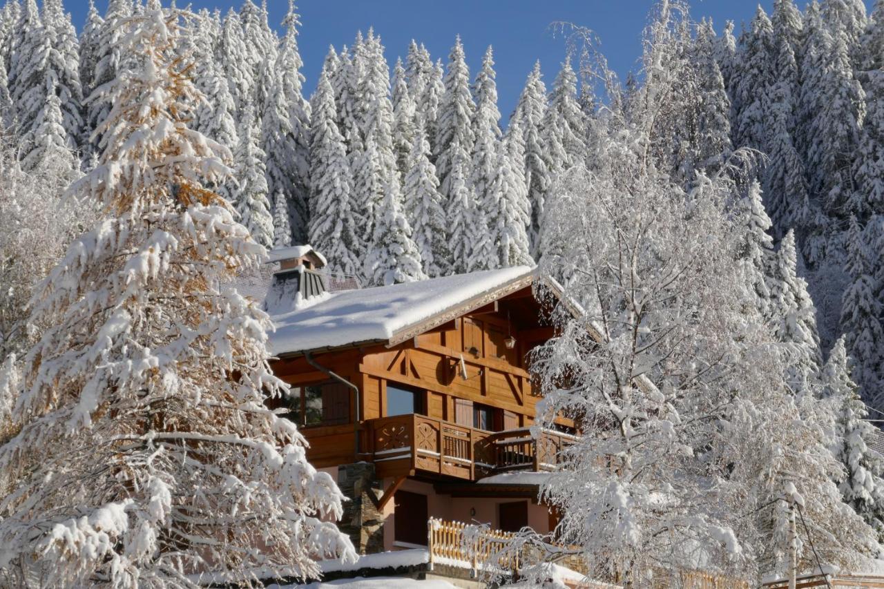 Les Saisies Cote Legette Appartement Dans Chalet Le Nepal Exterior photo